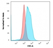 Flow cytometry testing of PFA-fixed human Ramos cells with CD86 antibody (clone BU63); Red=isotype control, Blue= CD86 antibody.