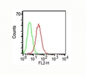 Surface flow cytometric analysis of CD34 on KG-1 cells using CD34 antibody (ICO-115, red) and isotype control antibody (green). The PPI-negative cell population was gated for analysis.