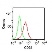 Surface flow cytometric analysis of CD34 on human KG-1 cells using CD34 antibody (clone ICO-115, red) and isotype control antibody (green).