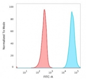 Flow cytometry testing of live human Jurkat cells with CD47 antibody (clone B6H12.2); Red=isotype control, Blue= CD47 antibody.