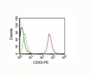 CD63 antibody flow cytometry test of MCF-7 cells