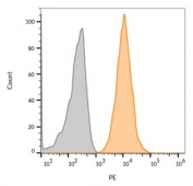 Flow cytometry staining of live human MCF7 cells with biotin labeled CD63 antibody (clone NKI/C3) and streptavidin-CF568 (orange). Gray histogram represents unstained cells.