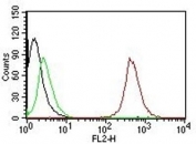 FACS testing of permeabilized human MCF7 cells with CD63 antibody (clone NKI/C3): Black=cells alone; Green=isotype control; Red= CD63 antibody.