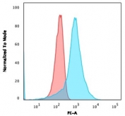 Flow cytometry testing of human U-87 MG cells with CD63 antibody (clone NKI/C3); Red=isotype control, Blue= CD63 antibody.