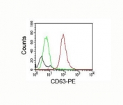 FACS testing of mouse NIH3T3: Black=cells alone; Green=isotype control; Red=CD63 antibody PE conjugate