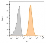 FACS staining of human MCF7 cells: Gray = unstained, Orange = CF568 labeled CD63 antibody.