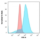 Flow cytometry testing of fixed human U-87 MG cells with CD63 antibody (clone C68/684); Red=isotype control, Blue= CD63 antibody.