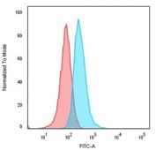 Flow cytometry testing of human Raji cells with CD74 antibody (clone LN-2); Red=isotype control, Blue= CD74 antibody.