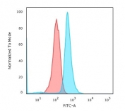Flow cytometry testing of human Raji cells with CD79a antibody (clone JCB117); Red=isotype control, Blue= CD79a antibody.