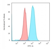 Flow cytometry testing of human Raji cells with CD79a antibody (clone HM47/A9); Red=isotype control, Blue= CD79a antibody.