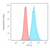 Flow cytometry testing of human Raji cells with CD79a antibody cocktail (clone JCB117 + HM47/A9); Red=isotype control, Blue= CD79a antibody cocktail.