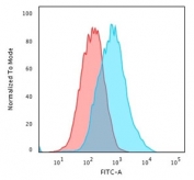 Flow cytometry staining of PFA-fixed human MCF7 cells with p27Kip1 antibody; Red=isotype control, Blue= p27Kip1 antibody.