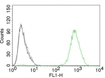 Flow cytometry testing of human A431 cells with EGFR antibody (clone GFR450); Black=cells alone, Gray=isotype control, Green= EGFR antibody.