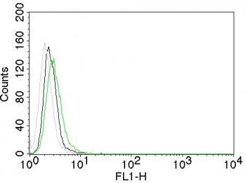 Flow cytometry testing of mouse NIH3T3 cells with EGFR antibody (clone GFR450); Black=cells alone, Gray=isotype control, Green= EGFR antibody. This antibody is not suitable for mouse sample testing.
