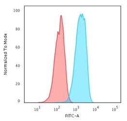 Flow cytometry testing of human MCF-7 cells with HER2 antibody at 1ug/10^6 cells; Red=isotype control, Blue= HER2 antibody.