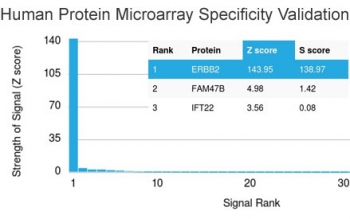 Analysis of HuProt(TM) microarray containing more than 19,000 full-length human proteins using HER2 antibody (clone HRB2/451). These results demonstrate the foremost specificity of the HRB2/451 mAb.<BR>Z- and S- score: The Z-score represents the strength of a signal that an antibody (in combination with a fluorescently-tagged anti-IgG secondary Ab) produces when binding to a particular protein on the HuProt(TM) array. Z-scores are described in units of standard deviations (SD's) above the mean value of all signals generated on that array. If the targets on the HuProt(TM) are arranged in descending order of the Z-score, the S-score is the difference (also in units of SD's) between the Z-scores. The S-score therefore represents the relative target specificity of an Ab to its intended target.