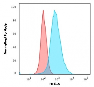 Flow cytometry testing of human SK-BR3 cells with HER2 antibody at 1ug/million cells; Red=isotype control, Blue= HER2 antibody.
