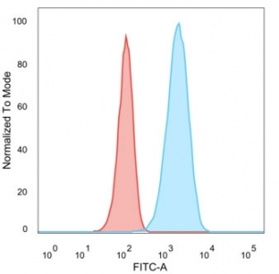 Flow cytometry testing of PFA-fixed human MCF7 cells with HER2 ErbB2 antibody (clone HRB2/282); Red=isotype control, Blue= HER2 ErbB2 antibody.