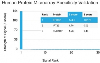Analysis of HuProt(TM) microarray containing more than 19,000 full-length human proteins using HER2 ErbB2 antibody (clone HRB2/718). These results demonstrate the foremost specificity of the HRB2/718 mAb.Z- and S- score: The Z-score represents the strength of a signal that an antibody (in combination with a fluorescently-tagged anti-IgG secondary Ab) produces when binding to a particular protein on the HuProt(TM) array. Z-scores are described in units of standard deviations (SD's) above the mean value of all signals generated on that array. If the targets on the HuProt(TM) are arranged in descending order of the Z-score, the S-score is the difference (also in units of SD's) between the Z-scores. The S-score therefore represents the relative target specificity of an Ab to its intended target.
