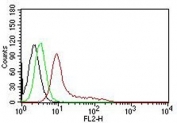 FACS testing of human K562 cells with Ku70 + Ku80 antibody. Black=cells alone; Green=isotype control; Red= PE conjugated Ku70 + Ku80 antibody.