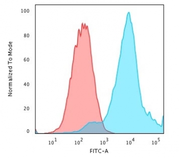 Flow cytometry testing of PFA-fixed human MCF7 cells with HSP27 antibody (clone G3.1); Red=isotype control, Blue= HSP27 antibody.
