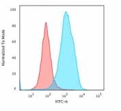 Flow cytometry testing of PFA-fixed human HeLa cells with HSP60 antibody (clone LK1); Red=isotype control, Blue= HSP60 antibody.