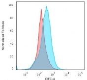 Flow cytometry testing of PFA-fixed human Raji cells with unlabeled Kappa antibody (clone KLC264); Red=isotype control, Blue= Kappa antibody.