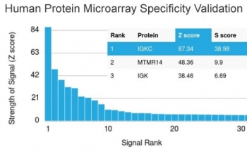 Analysis of HuProt(TM) microarray containing more than 19,000 full-length human proteins using anti-Kappa light chain antibody (clone KLC709). These results demonstrate the foremost specificity of the KLC709 mAb.<BR>Z- and S- score: The Z-score represents the strength of a signal that an antibody (in combination with a fluorescently-tagged anti-IgG secondary Ab) produces when binding to a particular protein on the HuProt(TM) array. Z-scores are described in units of standard deviations (SD's) above the mean value of all signals generated on that array. If the targets on the HuProt(TM) are arranged in descending order of the Z-score, the S-score is the difference (also in units of SD's) between the Z-scores. The S-score therefore represents the relative target specificity of an Ab to its intended target.
