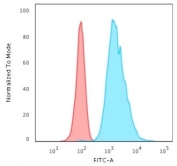 Flow cytometry testing of permeabilized human HeLa cells with Cytokeratin 8 antibody (clone H1); Red=isotype control, Blue= Cytokeratin 8 antibody.
