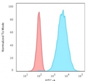 Flow cytometry testing of permeabilized human HeLa cells with Cytokeratin 8 antibody (clone TS1); Red=isotype control, Blue= Cytokeratin 8 antibody.