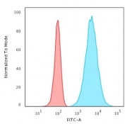 Flow cytometry testing of permeabilized human HeLa cells with KRT8 antibody (clone K8.8); Red=isotype control, Blue= KRT8 antibody.