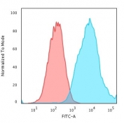 Flow cytometry testing of PFA-fixed human MCF7 cells with EpCAM antibody (clone VU-1D9); Red=isotype control, Blue= CF488-labeled EpCAM antibody.