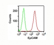 FACS staining (surface) of HT29 cells using EpCAM antibody (VU-1D9, red) and isotype control (green).