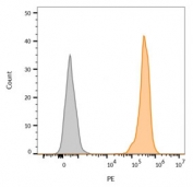 Flow cytometry testing of human MCF7 cells with (orange) and without (gray) CF555-labeled EpCAM antibody (clone VU-1D9).