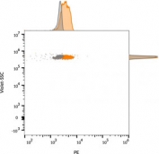 Flow cytometry testing of bead-bound exosomes derived from human MCF-7 cells with (orange) and without (gray) CF555-labeled EpCAM antibody (clone VU-1D9).