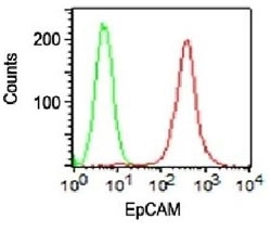 Surface FACS staining of HT29 cells using PE conjugated EpCAM antibody (red) and isotype control antibody (green).
