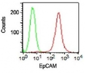 Surface FACS staining of HT29 cells using PE conjugated EpCAM antibody (red, clone VU-1D9) and isotype control antibody (green).