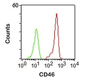 FACS staining of human PBMC using CD46 antibody (clone 122.2).~