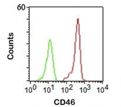 CD46 antibody 122.2 flow cytometry