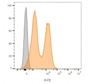 Flow cytometry testing of lymphocyte gated human PBM cells using NCAM antibody (clone 123C3.D5, orange) and unstained cells (gray).