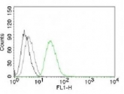 Flow analysis of permeablized PC3 cells using ODC-1 antibody (clone ODC1/485).
