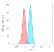 Flow cytometry staining of human A549 cells with PCNA antibody; Red=isotype control, Blue= PCNA antibody.