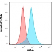 Flow cytometry testing of PFA-fixed human Jurkat cells with PECAM-1 antibody (clone C31.7); Red=isotype control, Blue= PECAM-1 antibody.