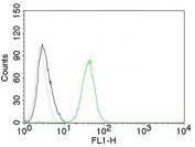 Flow cytometry testing of human Jurkat cells with PECAM-1 antibody (clone C31.7); Black=cells alone, Gray=isotype control, Green= PECAM-1 antibody.