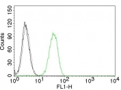 FACS testing of human Jurkat cells: Black=cells alone; Green=isotype control; Red=PECAM-1 antibody