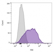 Flow cytometry testing of live Jurkat cells with CD45 antibody (clone 2B11, purple), and unstained cells (gray).