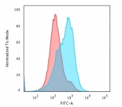 Flow cytometry testing of PFA-fixed human HepG2 cells with SUMO1 antibody (clone SM1/495); Red=isotype control, Blue= SUMO1 antibody.