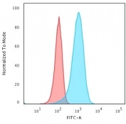 Flow cytometry testing of permeabilized human T98G cells with PGP9.5 antibody (clone 31A3); Red=isotype control, Blue= PGP9.5 antibody.