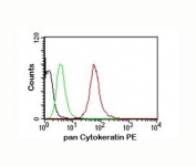pan Cytokeratin antibody AE1 + AE3 flow cytometry