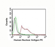 Nuclear Antigen Antibody flow cytometry test of HeLa cells (clone 235-1)
